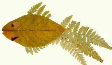 mozaik ikan dari daun