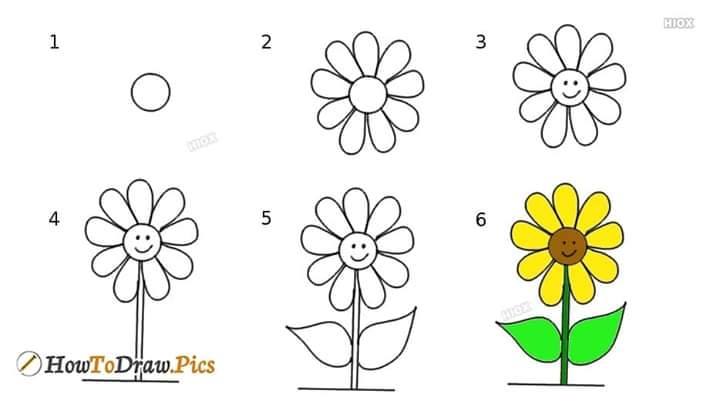 cara menggambar bunga matahari