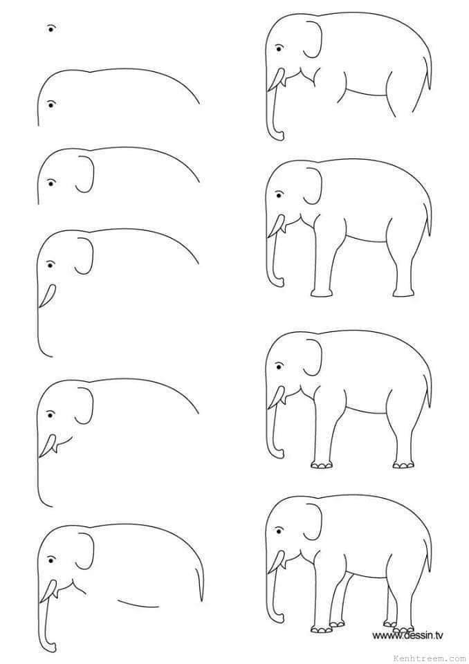 cara menggambar gajah