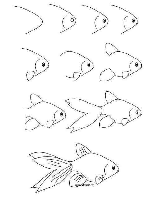 cara menggambar ikan