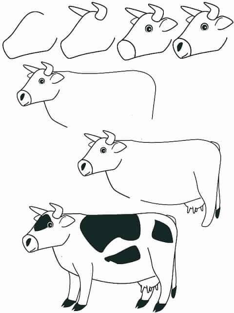 cara menggambar sapi