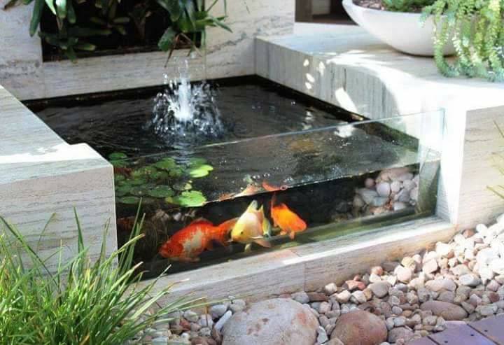 gambar kolam ikan minimalis