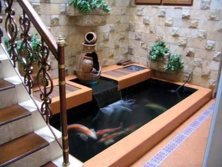 kolam ikan mini dalam rumah