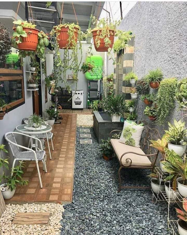 tanaman indoor garden
