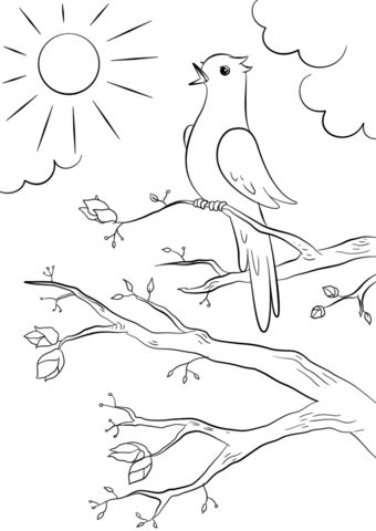 77 Sketsa Gambar Burung Di Pohon Gratis