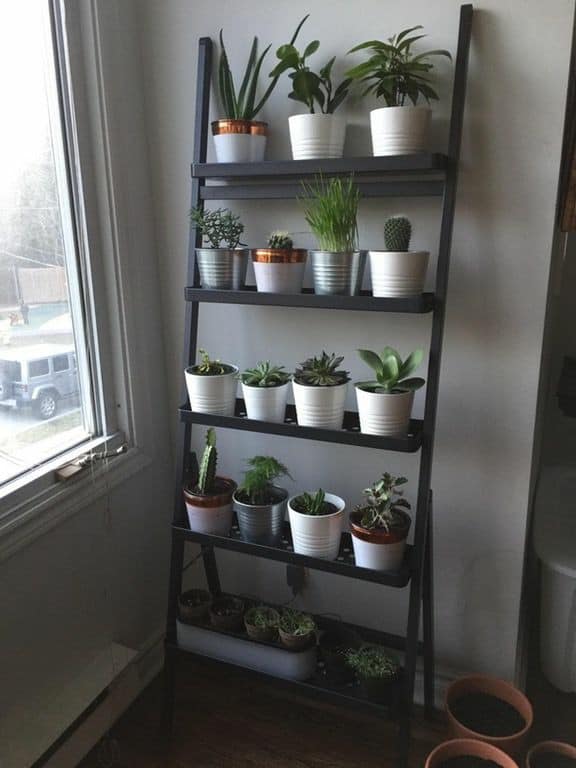 rak tanaman indoor 1