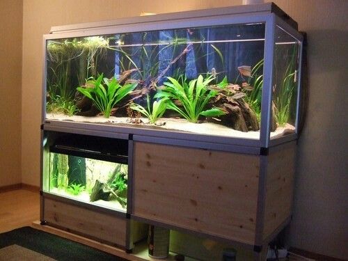 meja aquarium11