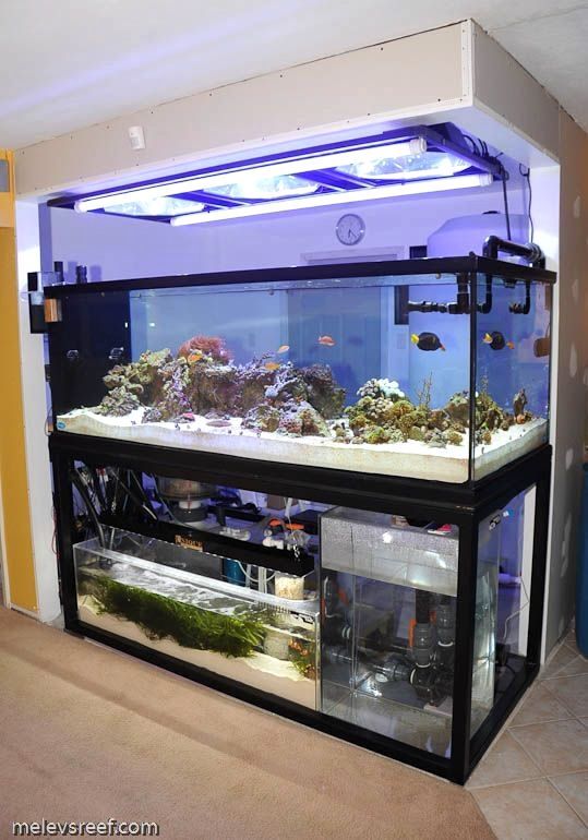 meja aquarium8